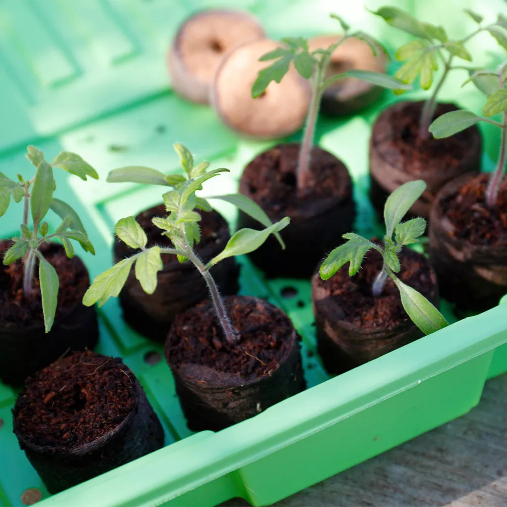 Gardman Gro-Sure Peat Free Compost Growing Discs 3.5cm