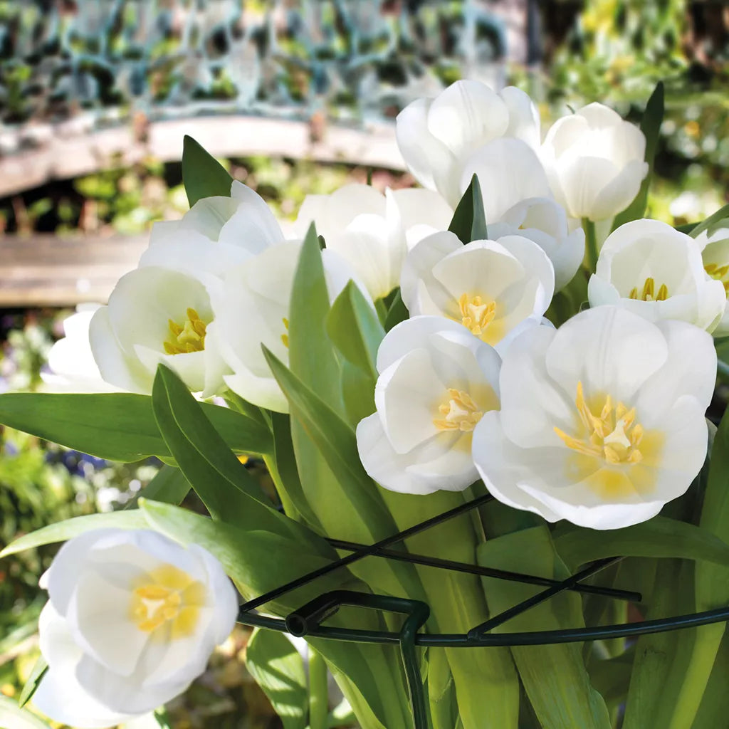 Gardman Plant Support Grid