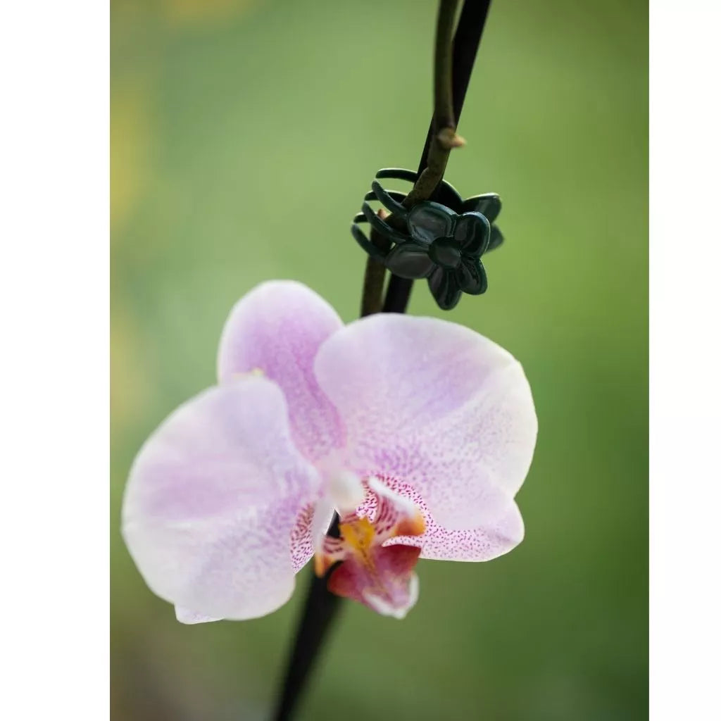 Gardman Flower Clips 10pk