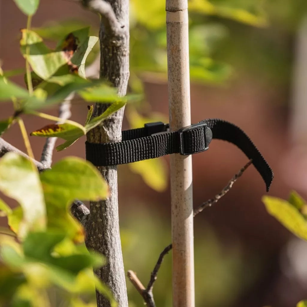 Gardman Rose, Shrub & Tree Ties 33cm 4pk