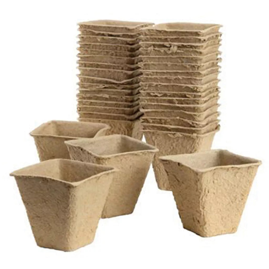 Gro-Sure Square Fibre Pots 6cm Singles Pack of - 20