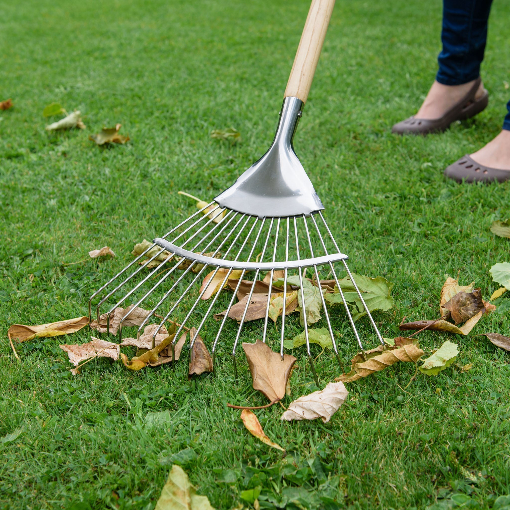 Kent & Stowe Stainless Steel Lawn & Leaf Rake