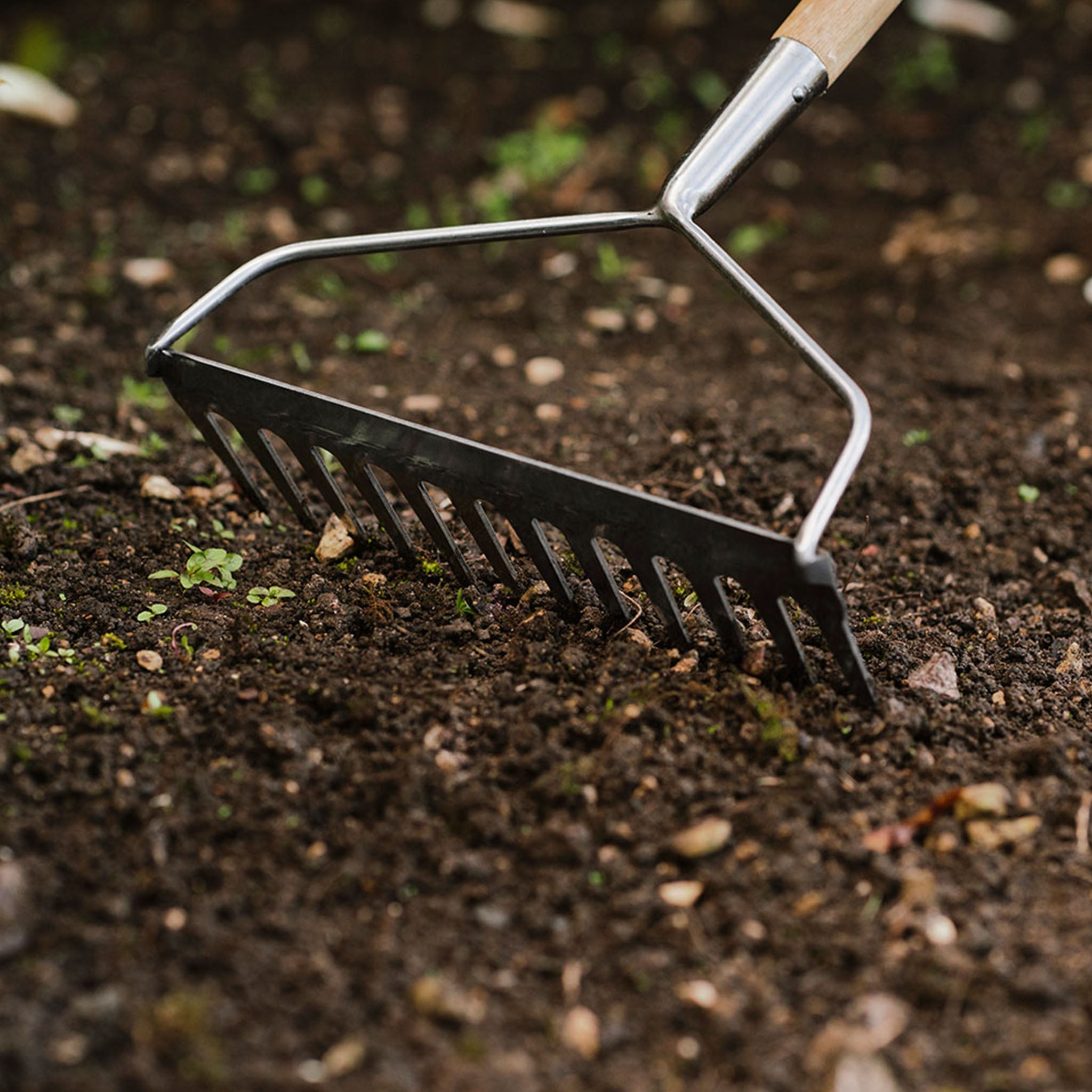 Kent & Stowe Stainless Steel Soil Rake