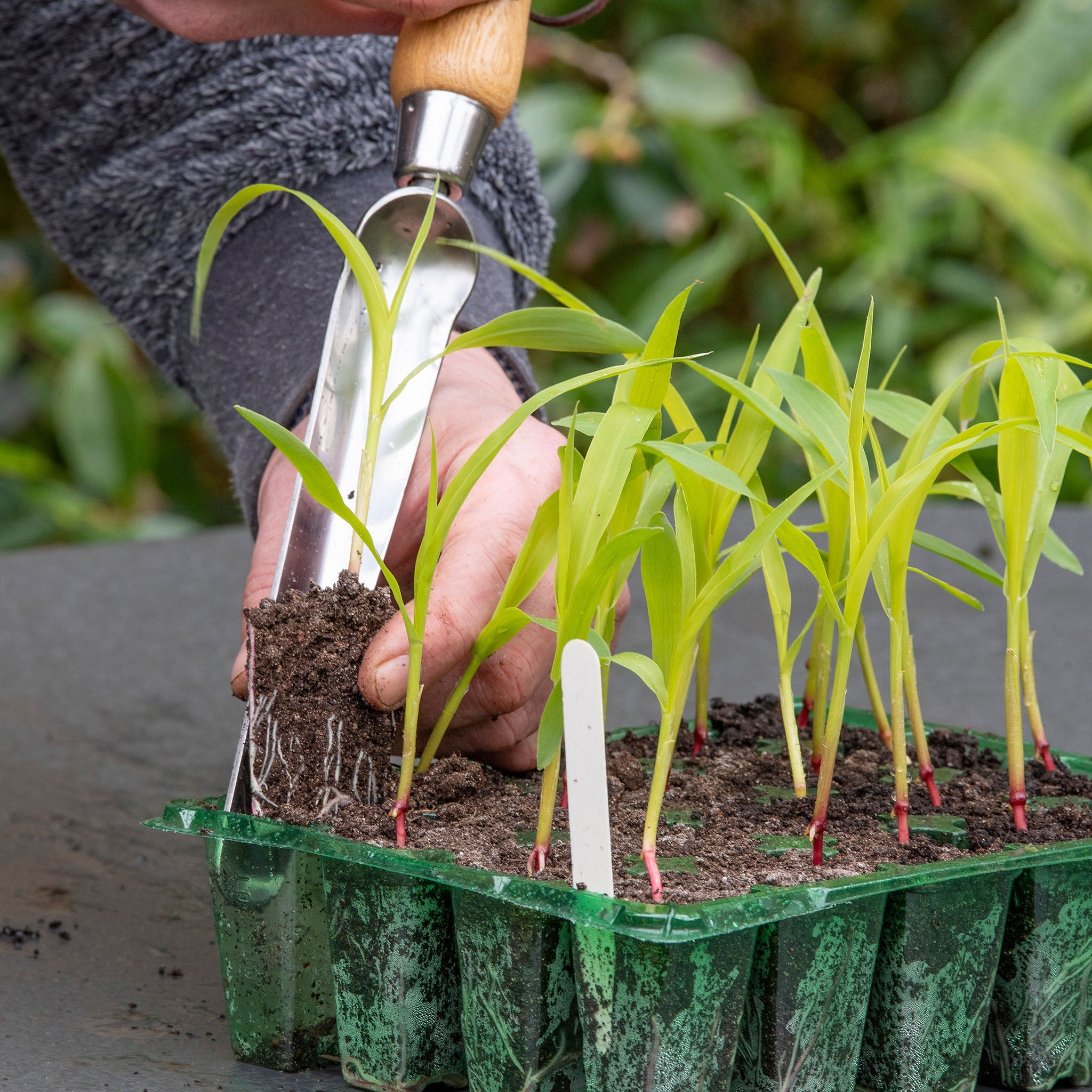Kent & Stowe Stainless Steel Hand Widger