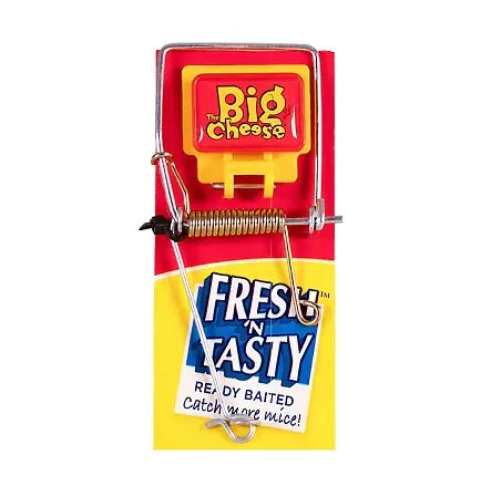STV Fresh Baited Mouse Trap