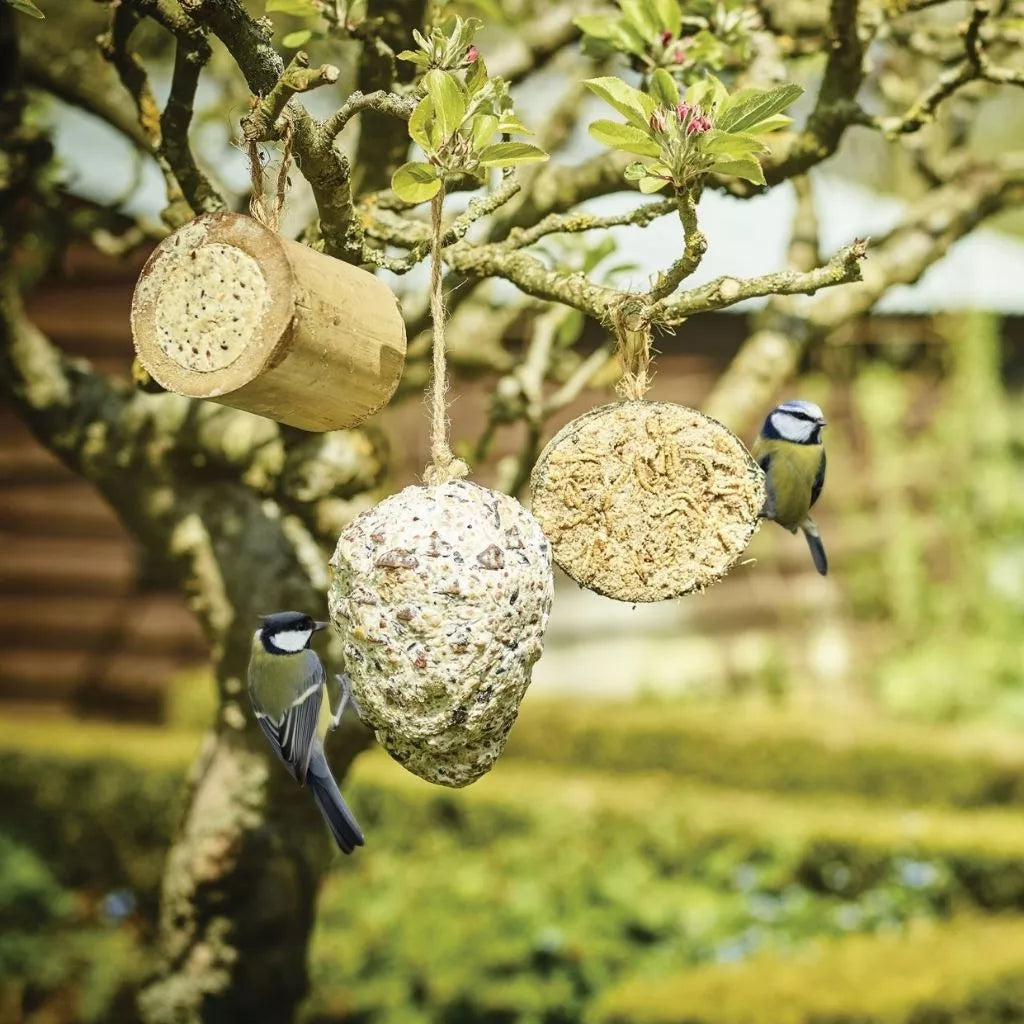 Gardman Suet Filled Bamboo