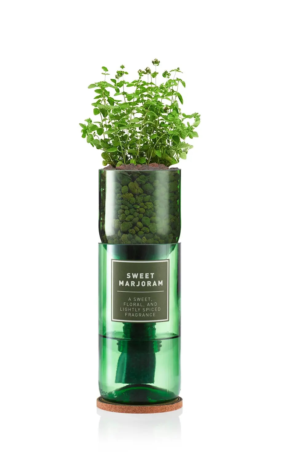 Sweet Marjoram Hydro-herb Kit