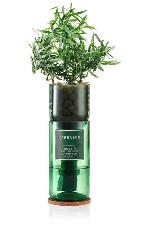 Tarragon Hydro-herb Kit