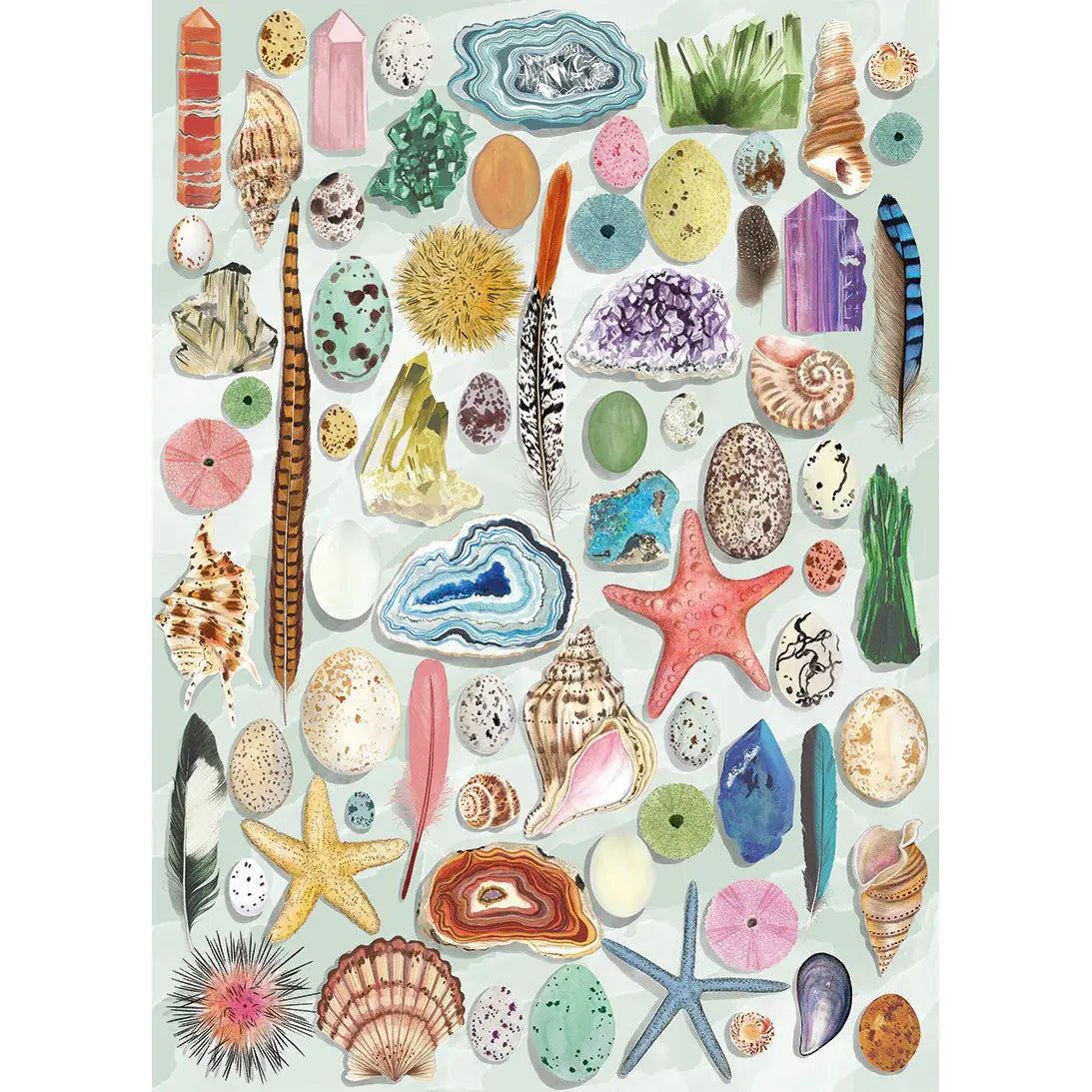 The Art File: Natural Curiosities (1000)