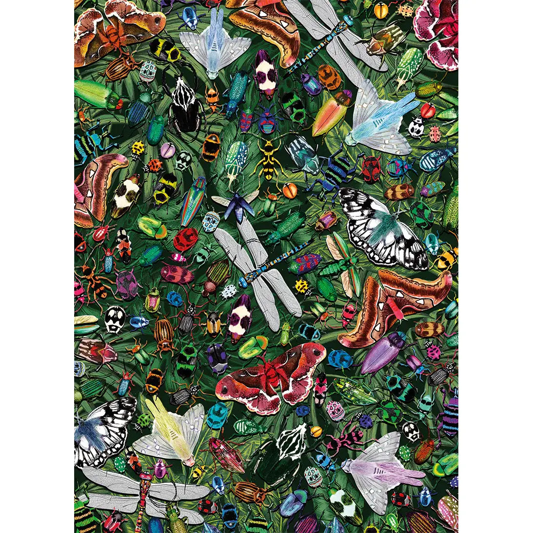 The Art File: Winged Wonders (1000)