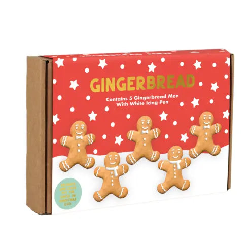 Treat Kitchen - Gingerbread People Icing Kit