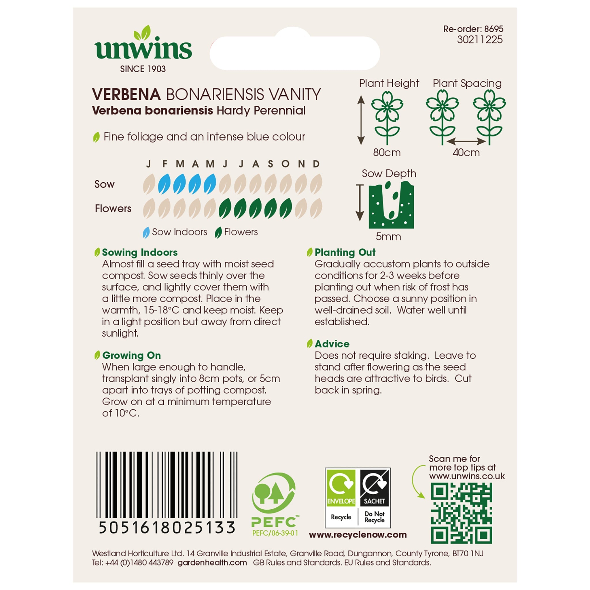 Unwins Verbena Bonariensis Vanity Seeds