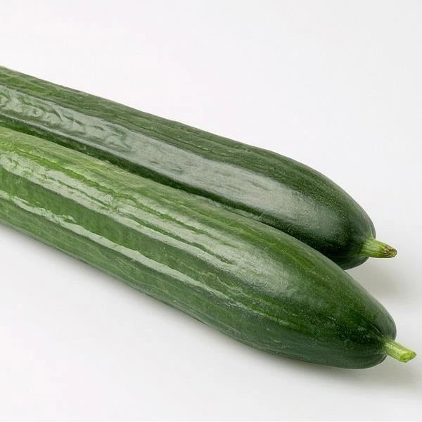 Cucumber Carmen 10.5cm