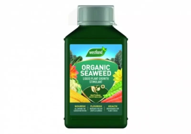 Westland Seaweed Liquid Feed Concentrate 1L
