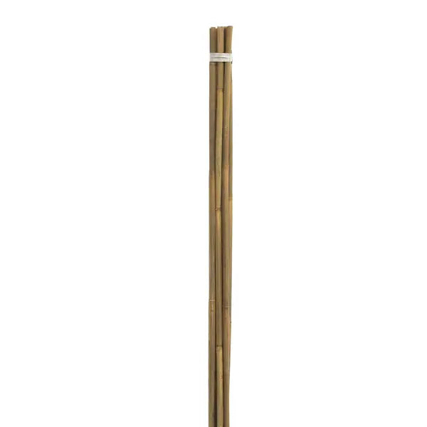 Woodlodge Bamboo Cane 240cm Pack 5
