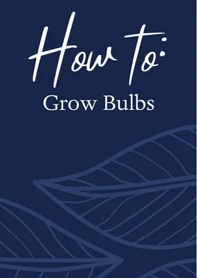 How to Grow Bulbs