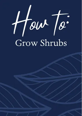 How to Grow Shrubs