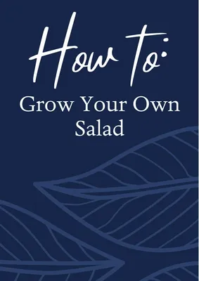 How to Grow Your Own Salad