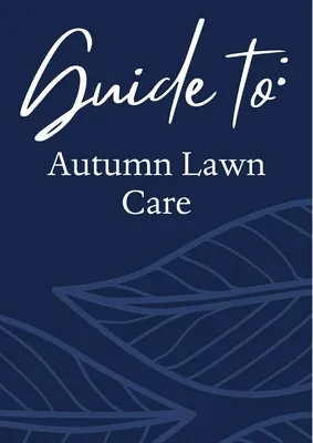 Autumn Lawn Care Tips