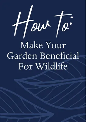 How to Make Your Garden Beneficial For Wildlife
