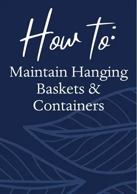 Maintain Hanging Baskets & Containers