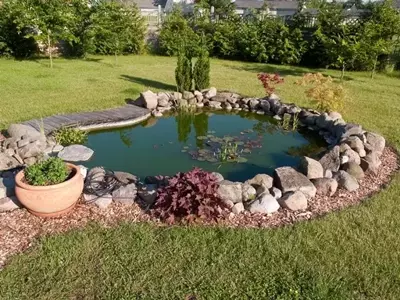 Year round pond care