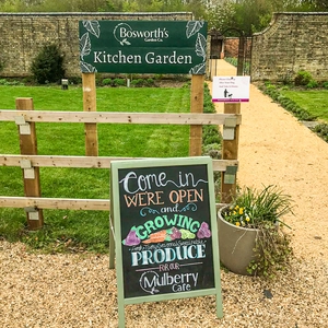 Garden Centre Photos