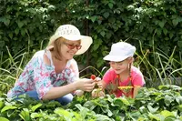 Hats for horticulturists