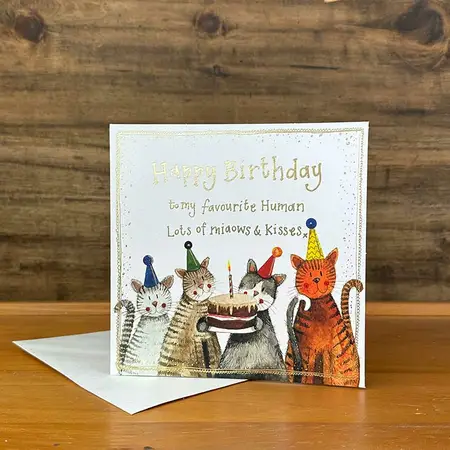 Alex C FROM THE CAT SPARKLE CARD