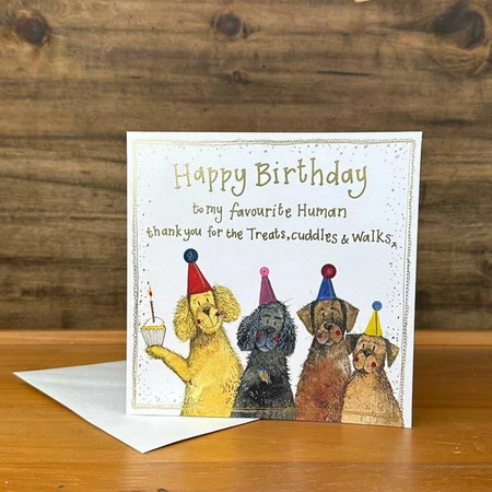 Alex C FROM THE DOG SPARKLE CARD