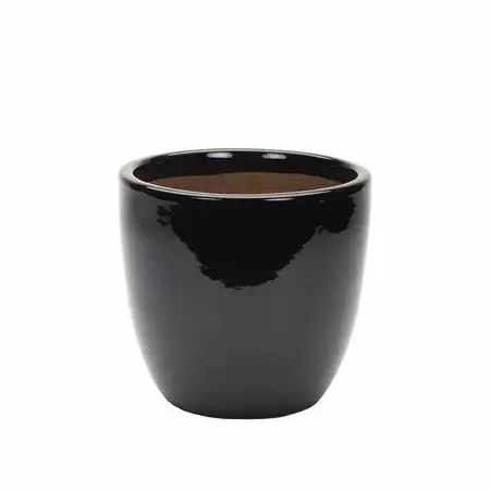 Apta Cambridge Egg Pot 21cm