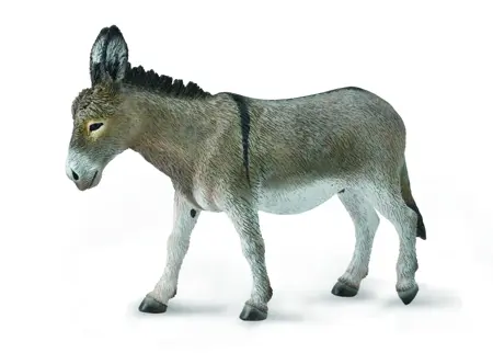 Farmyard Donkey