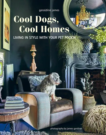 COOL DOGS COOL HOMES (CICO) (HB)
