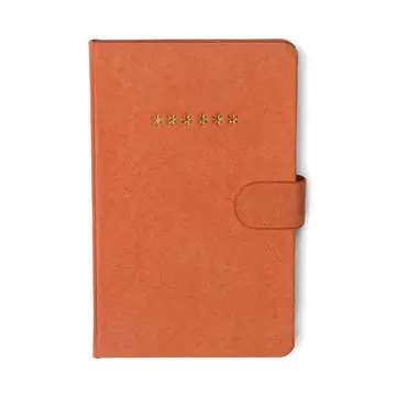 Mini Password Journal - Asterisks