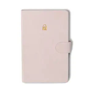 Mini Password Journal - Lock
