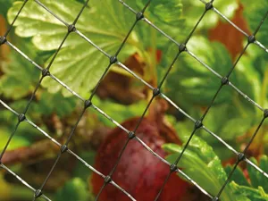 G/M Crop & Pond Net 2m Wide