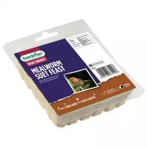 G/M Seed and Mealworm Suet Feast