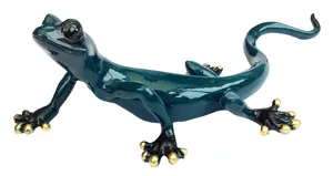 Gecko Blue Medium