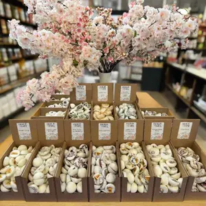 Hollie Tree Wax Melts Mix & Match Box of 10