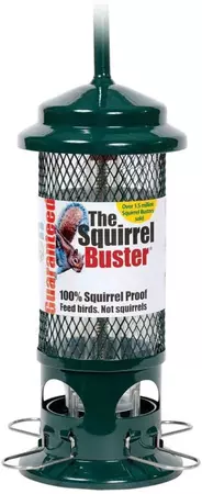 Jacobi Jayne The Squirrel Buster