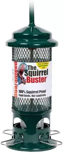 Jacobi Jayne The Squirrel Buster