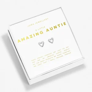 BEAUTIFULLY BOXED A LITTLE EARRINGS | AMAZING AUNTIE | Silver | Earring Box - image 1
