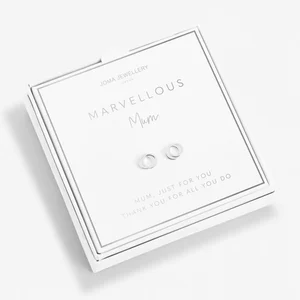 BEAUTIFULLY BOXED A LITTLE EARRINGS | MARVELLOUS MUM | Silver | Earring Box - image 1