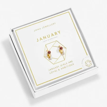 BIRTHSTONE HOOP EARRING | JANUARY | Gold Plated | Earrings - image 1