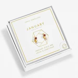 BIRTHSTONE HOOP EARRING | JANUARY | Gold Plated | Earrings - image 1