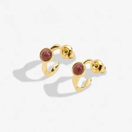 BIRTHSTONE HOOP EARRING | JANUARY | Gold Plated | Earrings - image 2