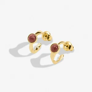 BIRTHSTONE HOOP EARRING | JANUARY | Gold Plated | Earrings - image 2