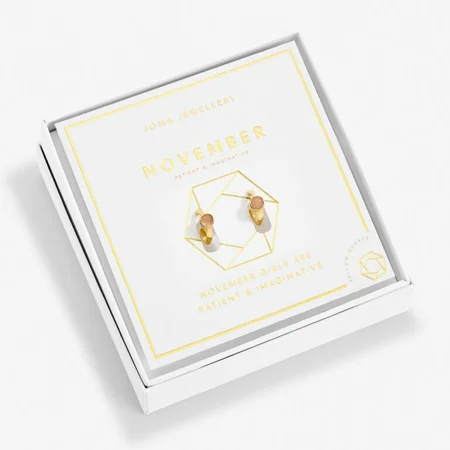 BIRTHSTONE HOOP EARRING | NOVEMBER | Gold Plated | Earrings - image 1