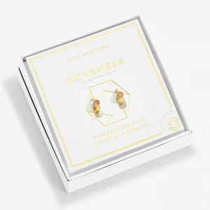 BIRTHSTONE HOOP EARRING | NOVEMBER | Gold Plated | Earrings - image 1