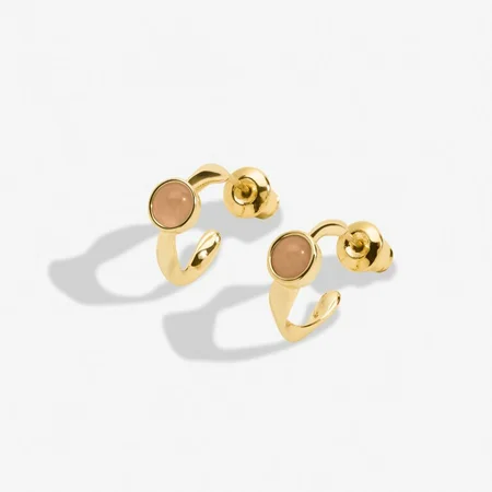 BIRTHSTONE HOOP EARRING | NOVEMBER | Gold Plated | Earrings - image 2